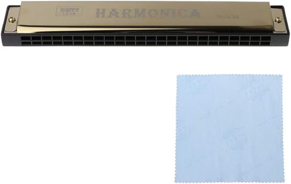 Professional 24 Hole Mouth Metal Organ For Beginners