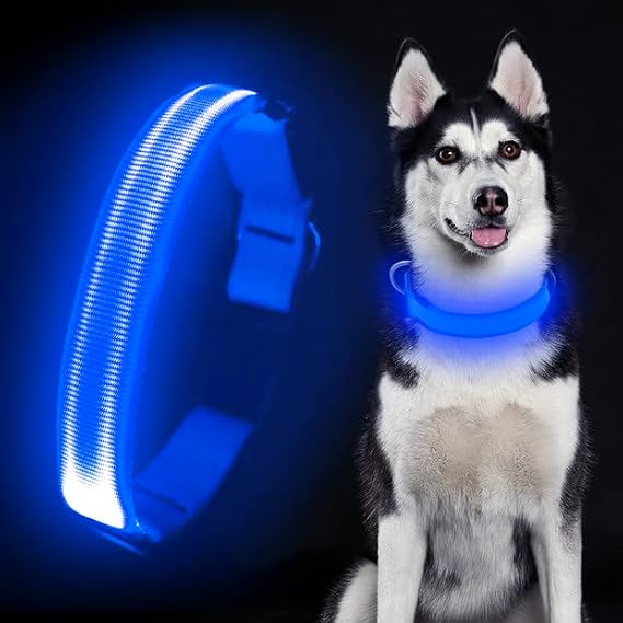 Colaseeme LED Dog Collar Light Up Dog Collars Micro USB Rechargeable Adjustable Nylon Webbing Plastic Buckle D Ring Glow Safety Basic Dog Collars for Dogs (M, Blue)