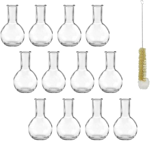 mikken 12 x Small Bottle Vases, Glass Vases, 10 cm with Bottle Brush, Transparent 10.2 cm