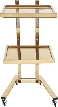 2 Tier Beauty Salon Spa Trolley Rolling Utility Cart Storage Cart Esthetician Cart with Wheels Utility Salon Rolling Trolley Stainless Steel Cart Organizer for Salons Studios Shops (Gold)