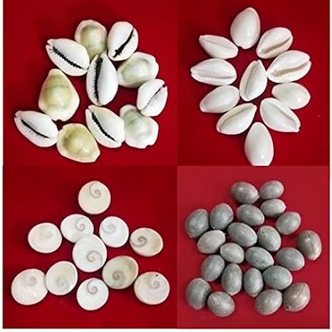 Combo of White Kaudi | Yellow Kaudi | Kamal Gutta | Gomati Chakra for Lakshmi Puja | Kuber Puja | Diwali Puja -(11Pcs Each)