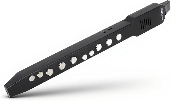 Digital Wind Instrument,HiFi Speaker MIDI Connection Electronic Wind Instrument,Multifunctional Buttons Electric Wind Instrument,with 12 Accompaniments (Black)