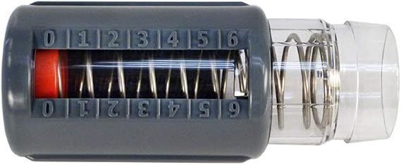 Zodiac Pool Systems R0527500 Flow Gauge for Swimming Pool