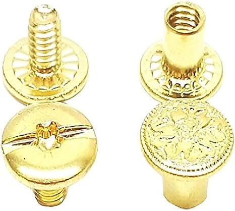 Saddles & Such 1/4" Premium Engraved Solid Brass Chicago Screw Fasteners 10 Pack