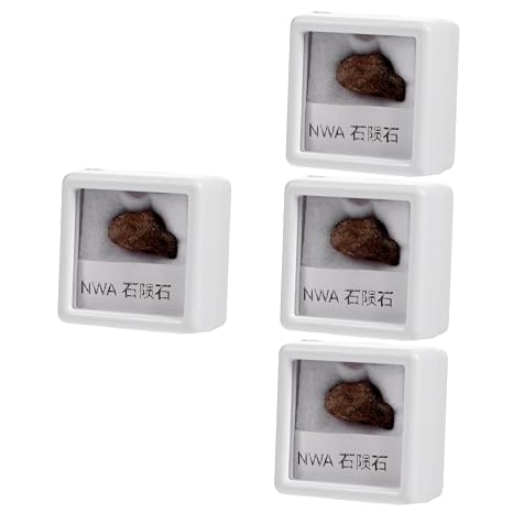 4pcs Meteorite Specimen for Teaching Irregular Meteorite Decor Stone Specimen for Paleontology Adornment Stone