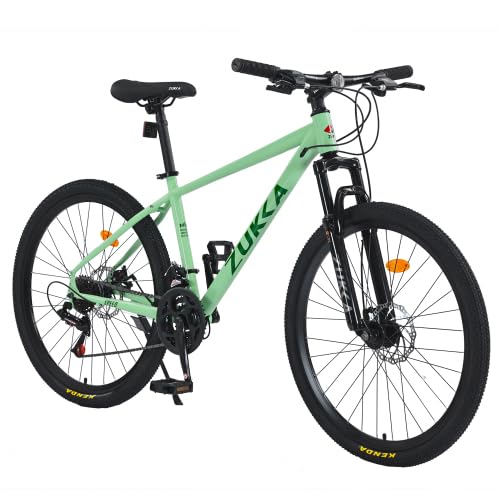 26 Inch Mountain Bike 24 Speed Mountain Bike Steel Frame Adult Bicycle with Suspension Fork, Dual Disc Brake for Womens Mens Multiple Color