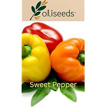Sweet Bell Pepper Seeds – “Red King” Variety – Large Sweet Red Peppers for Garden &amp; Containers – OliSeeds (10 Seeds)
