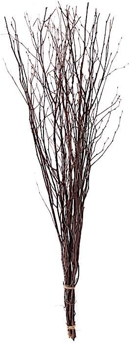 Balsa Circle 6 pcs Natural 46-inch Extra Long Decorative Birch Tree Branches Vase Fillers Rustic Dried Twigs Sticks Party Wedding Bouquets Centerpieces Supplies