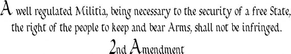 2nd Amendment Vinyl Wall Decal - Large, White