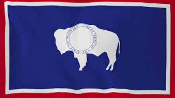 Set of State of Wyoming & USA 3'x5' Polyester Flags
