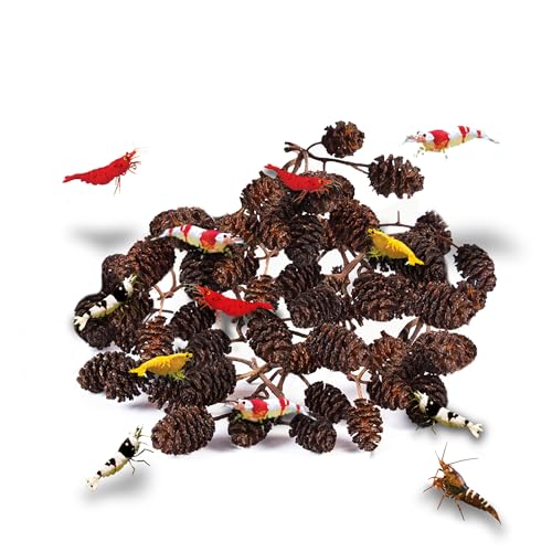 JOR 30 Pack Alder Pine Cones, Aquarium Decor Benefits Shrimp and Tropical Fish, Lower pH, Softens Water, Foraging Chew Treat for Parrots & Guinea Pig