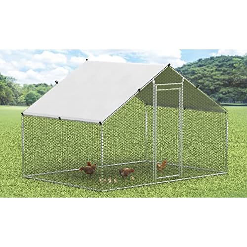 Chicken Coop, Walk-in Chicken Run Hen