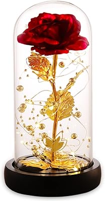 Valentines Day Gifts for her, Beauty and The Beast Rose, Birthday Gifts for Women, Glass Dome Glowing Rose, Eternal Rose Blessing Valentine Flowers Gift for Mother Wife, or Girlfriend