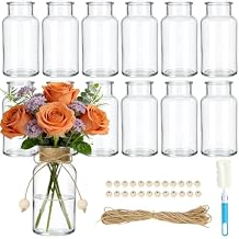 TBWIND Vintage Glass Flower Vase, 12PCS Farmhouse Mason Jar Vases for Centerpiece Clear Bud Vases in Bulk with DIY Accessories for Wedding Party Table Decorations Home Decor