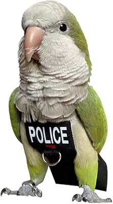 Bird Clothes Parrot Diapers Bird Flight Suits, Reusable Waterproof Diapers pet Bird Supplies 2XL