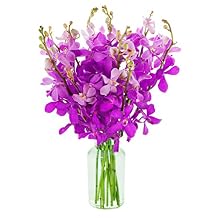 KaBloom - Fall Collection - Spring Easter Collection - Purple Orchid Bouquet with Vase Fresh for Delivery Prime. Gift for Birthday, Mothers Day Fresh Flowers