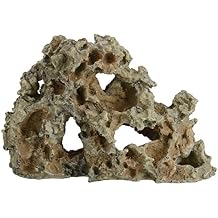 Underwater Treasures Pitted Rock Wall - Small