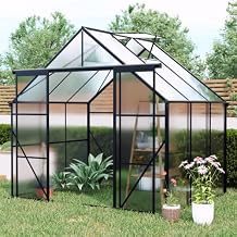Double Door Polycarbonate Greenhouse Raised Base and Anchor Aluminum Heavy Duty Walk-in Greenhouses for Outdoor Backyard in All Season Black (Black, 86FT)