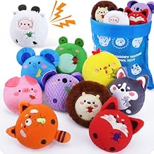 Sensory Bean Bags for Kids,10 Packs Texture Sensory Beanbags,Sensory Toys for Autism Kids,Animal Sensory Fine Motor Toys with Storage Bag for Boys and Girls