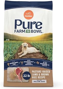 CANIDAE Pure Real Lamb & Brown Rice Recipe Dry Dog Food, 22 lbs.
