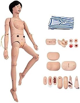Patient Care Manikin Full Body Male and Female Training Manikin Removable Demonstration Model for Students Education Teaching Skills