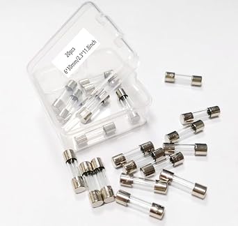 Vigor Source 5A,T5A Fuse, 250V Glass Fuse, 6 * 30MM, Slow-Blow, 20/Pack