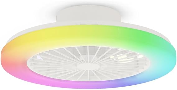 Modern LED Ceiling Light with Fan, RGB Ceiling Fan Lights, 6 Ventilation speeds, infinitely dimmable Light for Living Room, Bedroom, Office, 3000-5500 K,(White 48CM RGB) [Energy Class C]