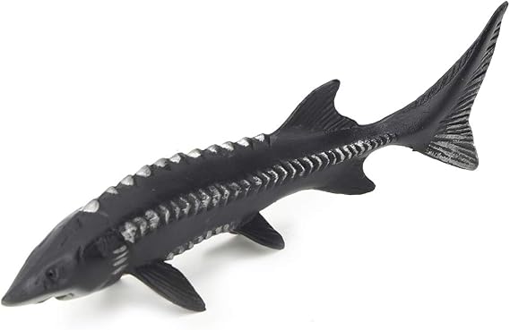 Simulated Fake Fish Model Lifelike Sturgeon Fish Model Artificial Toy for Home Party Kitchen Christmas Photography Prop (M-1528 Chinese Sturgeon)