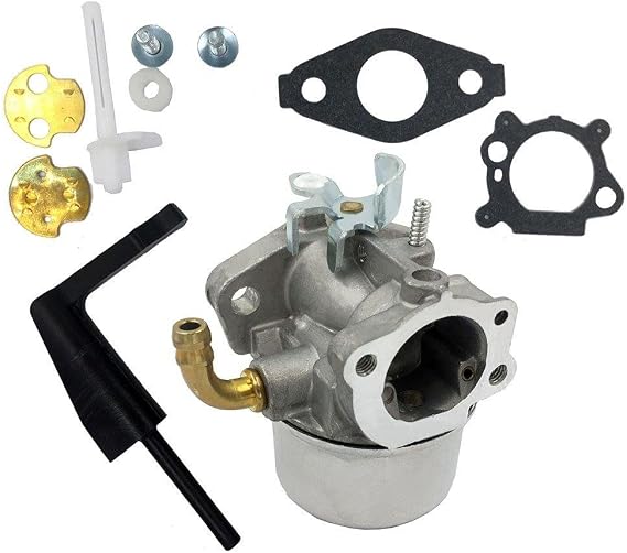 Carburetor For Briggs & Stratton Craftsman Tiller Intek 190 6 HP 206 5.5hp Engine (591299)