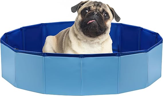 Small Paddling Pool for Dogs, Non-Slip and Foldable, 80cm (Blue) | Portable Pet Swimming Pool for Puppy Cat Toddler, Plastic Doggy Bathtub for Garden Outdoor