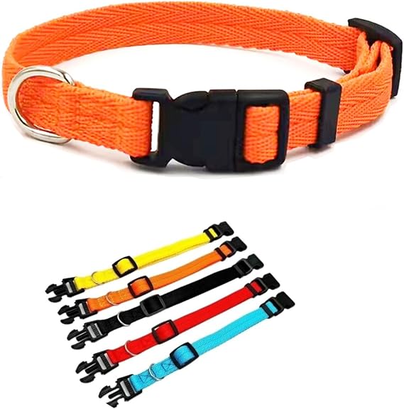 Dog Collars, Nylon Dog Collar with Safety Buckle, Adjustable Dog Collar, Suitable for Small and Medium-Sized Dogs (XL(2.5 cm), Orange) | Adjustable Dog Collar, Suitable for Small and Medium-Sized Dogs, Pet Collar for Dog (XL(2.5 cm), Orange)
