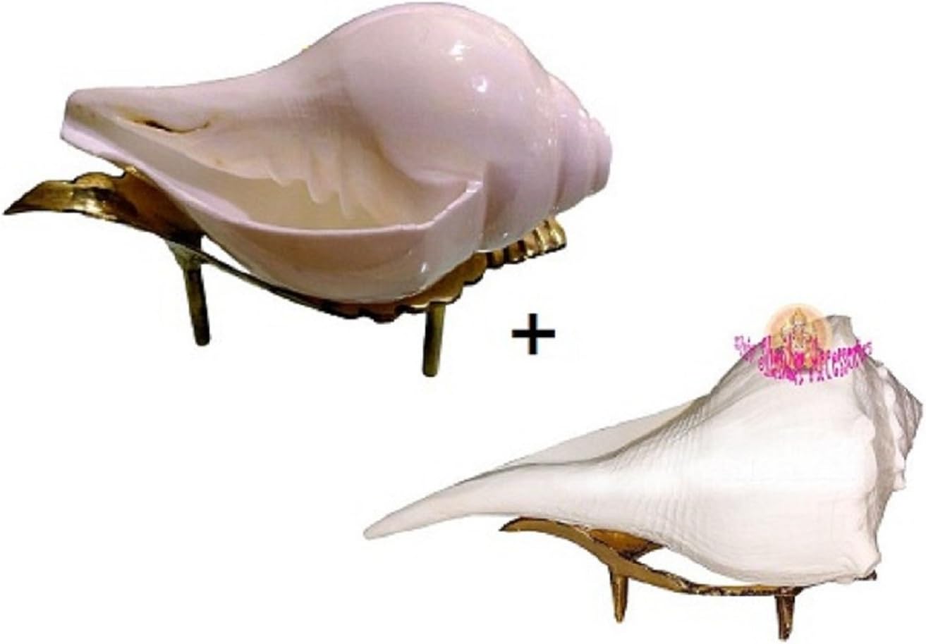 Sound SHANKH SHANKHA  DAKSHINAWARTI SHRI Lakshmi VALAMPURI SHANKH Conch with Brass Stand