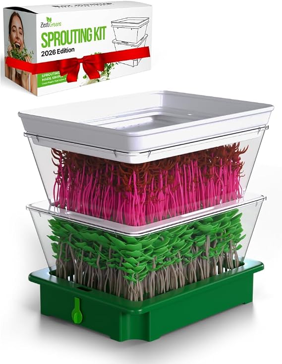 Stackable Seed Sprouter, 2-Tier Sprouting Tray with Drain Spout