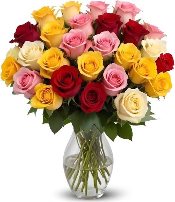 25 Rainbow Roses Assorted Color | Arabella Bouquets | Real Fresh Flowers for Delivery, Gift for Birthday, Women, Congratulations, Anniversary, Thank You, Mother's Day