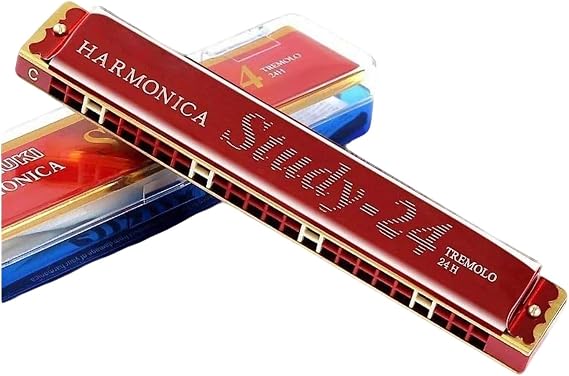 24 Hole Harmonica Tremolo Suzuki Mouth Organ Gaita Jew's Harp With Case Music Instrument Key C Blues Synthesizer Professional(A)