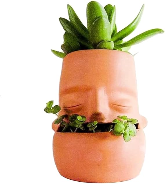 Terra Cotta Face Succulent Pots Planter Clay Pot Pretty Tribe Face Planter Holder Indoor Flower Pot Crafts Breathing Terracotta Planter DIY Decorative Beautiful Home Housewarming Gift
