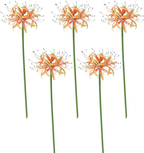 belupai Artificial Red SpiderLily Flowers, 5pcs 26.38in Faux Lycoris Radiata Silk Equinox Flowers with Long Stem, Manjusaka Red Flowers for Floral Arrangement Wedding Party Home