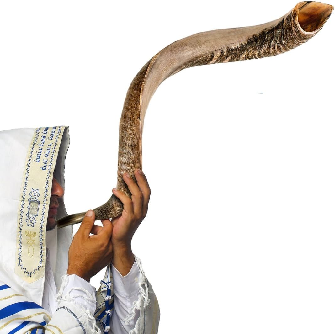 Kosher Jewish Kudu Blowing Horn Instrument Shofar From Israel - Kudu Shofar Angels Musical Instrument - Half Polished  Natural Single, 13-19 - Mini