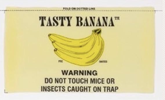 Catchmaster 72TB Mouse Glue Boards, 72 ct