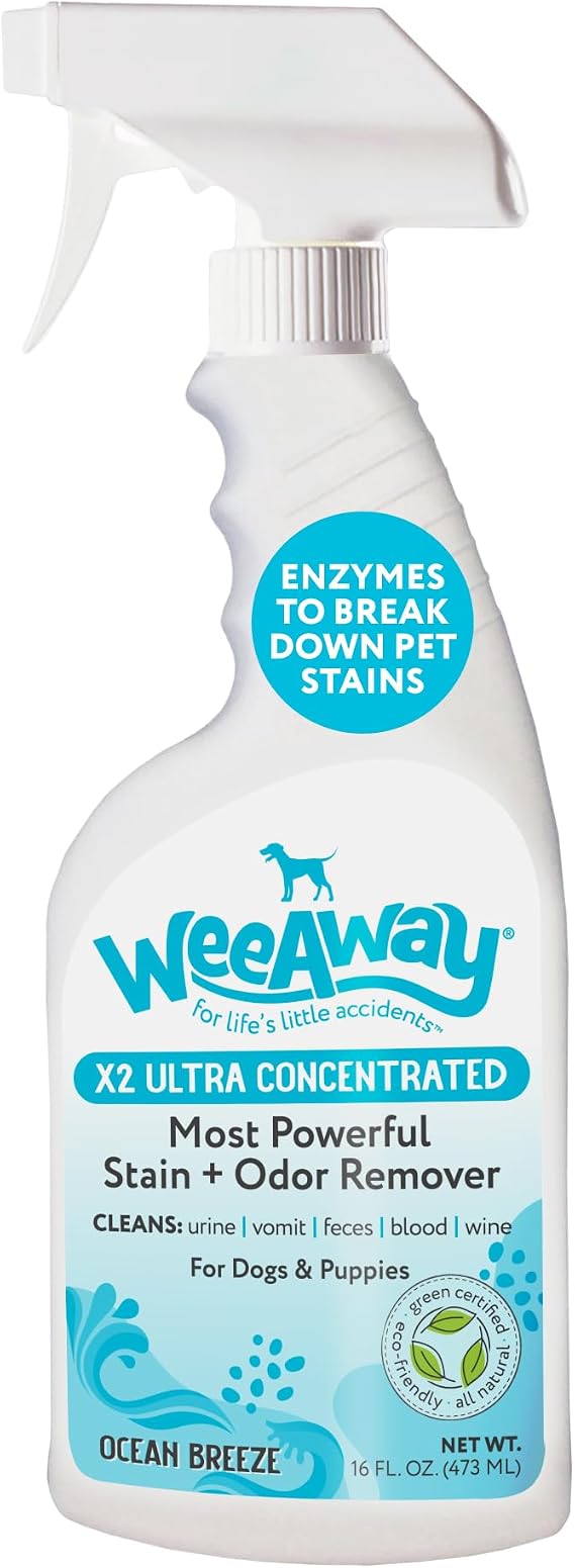 Wee Away X2 Dog Urine Stain & Odor Remover Double Strength Enzyme Spot Cleaner for Dog Pee, Marking & Odor Removal Carpet, Furniture & Bedding, Non-Toxic, 16oz