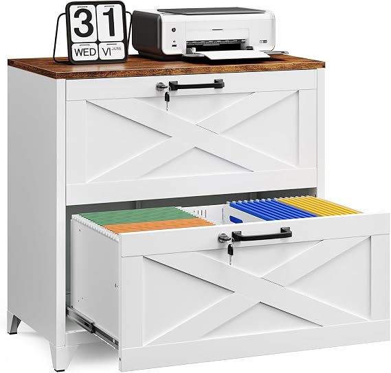 Letaya 2 Drawer File Cabinet with Lock and Feet,Metal Lateral Filing Cabinet for Home Office,Hanging Letter/Legal/A4 Size (White-A, 16" D x 28.4" W x 29.1" H)