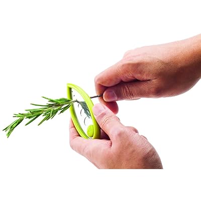 Joie Leaf Herb Stripper, Quickly Removes Leaves from Stems, Six Holes of Varying Sizes, Stainless Steel, Durable Tool, BPA-Free, Time-Saving Kitchen Gadget, Dishwasher Safe