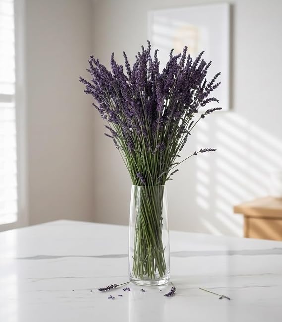 Dried Lavender Flowers (2 Bundles), Diara Natural Dried Lavender Stems for Crafts, Party, Wedding, Home Decorations, Vase, Room Fragrance, Candles, Soap Making