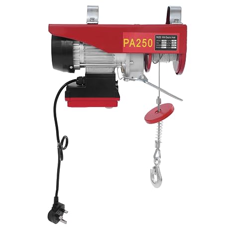 Electric Hoist 550W Wireless Control, Lifting Crane with Two Slings 250kg/125kg 12m/6m Lifting Height