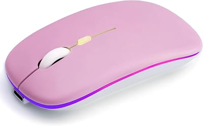 Wireless Bluetooth Mouse Rechargeable Long Lasting Dual Mode - BT 5.2 & 2.4G Silent RGB LED Mice, Slim Portable Ergonomic Mouse for Laptop/PC/Tablet/MacBook/iPad/Apple Devices(Silver)