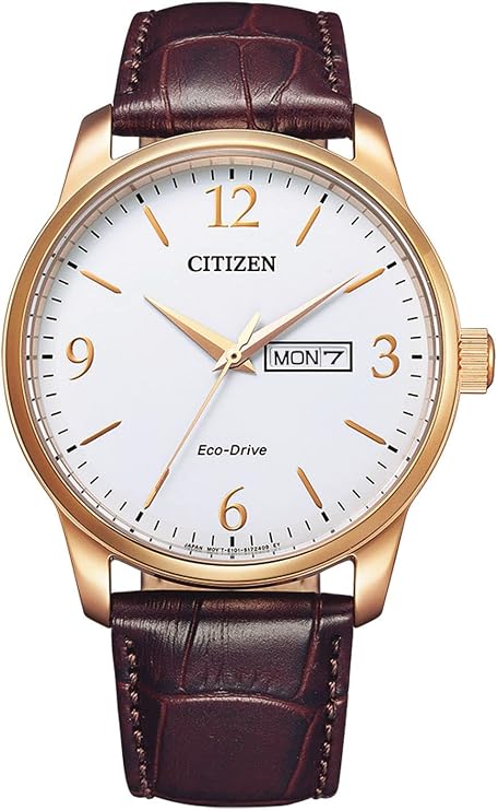 Citizen Men's Analog Eco-Drive Watch, Braun, Strap