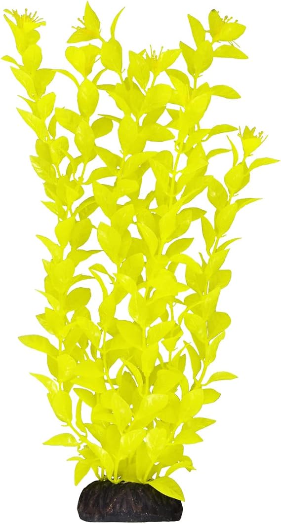 Underwater Treasures Ludwigia - Yellow - 12