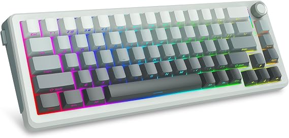 E-YOOSO 65 Percent Wireless Bluetooth Keyboard, Mechanical Gaming Keyboard, Wired Keyboard with Knob, Hot Swappable Pre-lubed Linear Switches, RGB Backlit Keyboard for PC/Laptop