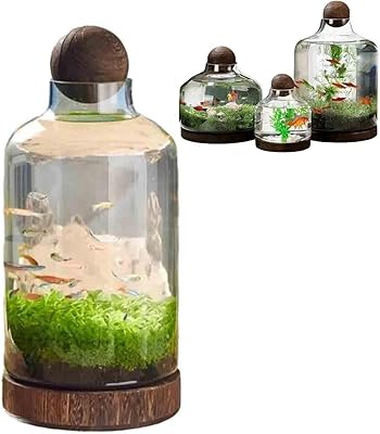 Fish Tank Vase Aquarium with Wooden Base Micro Ecosphere Transparent Clear Fish Bowl Hydroponic Plant Art Decor for Desktop HomeL, A