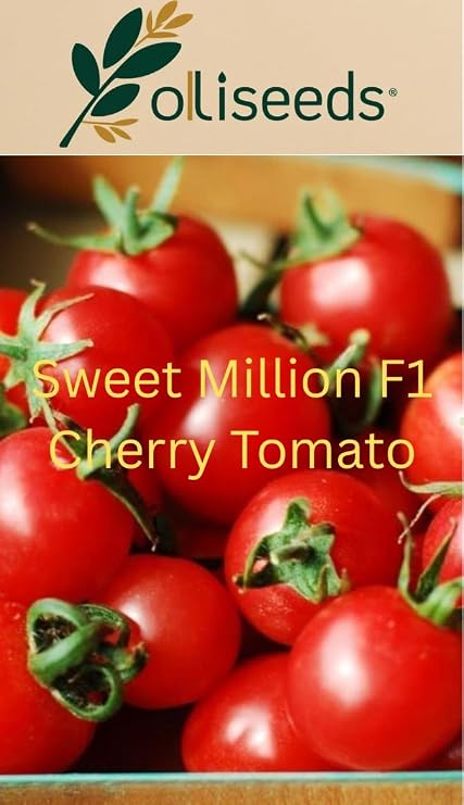 Sweet Million Cherry Tomato Seeds – High Yield Sweet Cherry Tomatoes – Easy to Grow – Solanum Lycopersicum – oliseeds – 50 Seeds